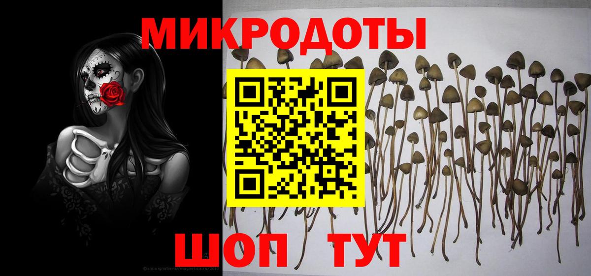 Протвино  Псилоцибиновые грибы мицелий  Псилоцибиновые грибы Psilocybe  Вход с VPN 